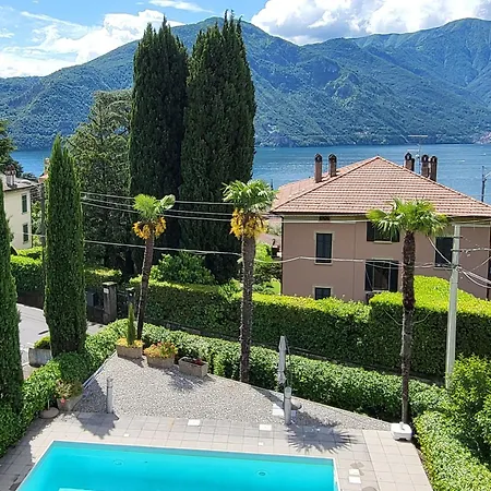 Belvedere Bolvedro *