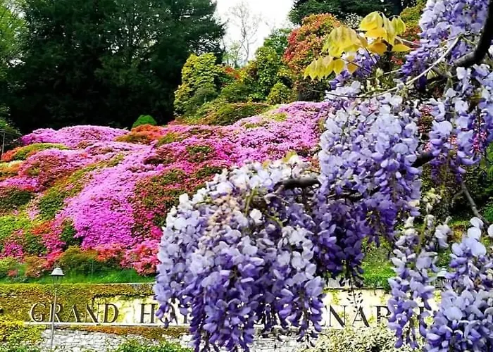 아파트 Belvedere Bolvedro 트레메쪼