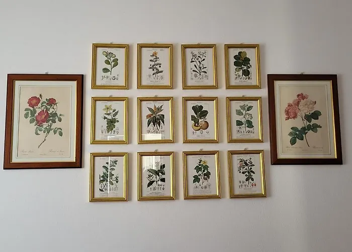 Belvedere Bolvedro 트레메쪼