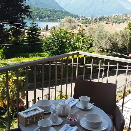 Belvedere Bolvedro