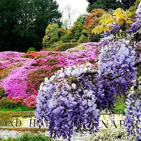 Lejlighed Belvedere Bolvedro Tremezzo
