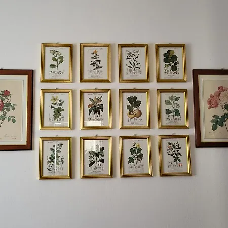 Belvedere Bolvedro Тремеццо