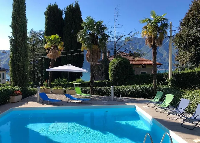 Belvedere Bolvedro *