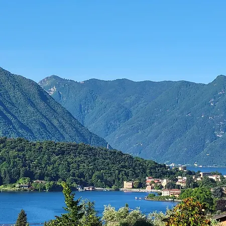 Belvedere Bolvedro *